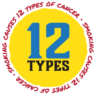 12 types