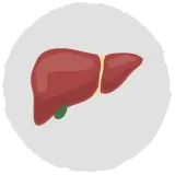 cancer liver